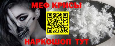 мяу мяу мука Кингисепп