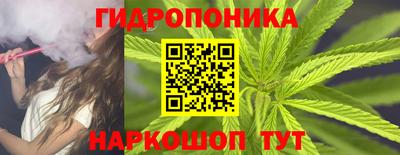 мяу мяу мука Кингисепп