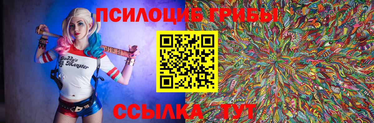 Галлюциногенные грибы Cubensis  цена   Мариинск  Вход с VPN 