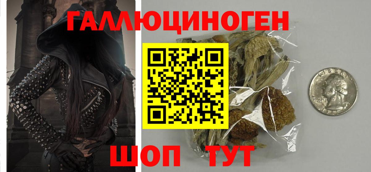 Псилоцибиновые грибы мицелий  Галлюциногенные грибы Psilocybine cubensis  Мариинск 